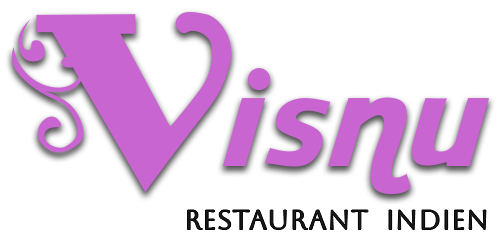 Logo Visnu